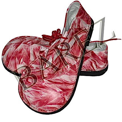 Palyaço Ayakkabısı 1